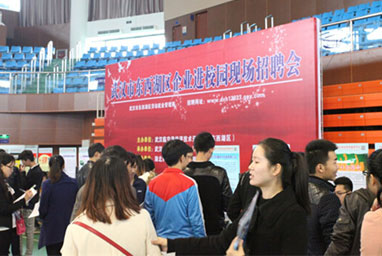 湖北工程學院2015年冬季畢業(yè)生供需見面洽談會圓滿舉辦