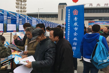 精準(zhǔn)扶貧專場招聘會在大悟舉行