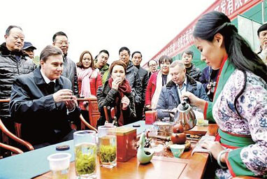 中華孝文化名茶走進(jìn)俄羅斯